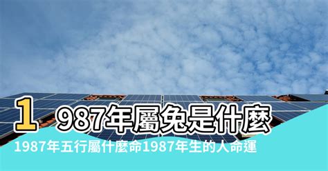 1987屬什麼|1987年屬什麼，1987年屬相是什麼